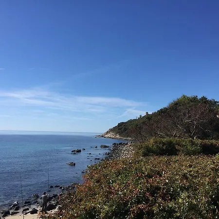 In Centro トルトリ